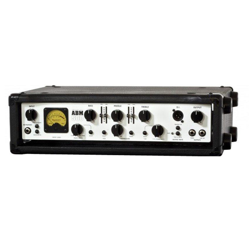 Ashdown ABM500 EVOIII — Model-specific reference photo
